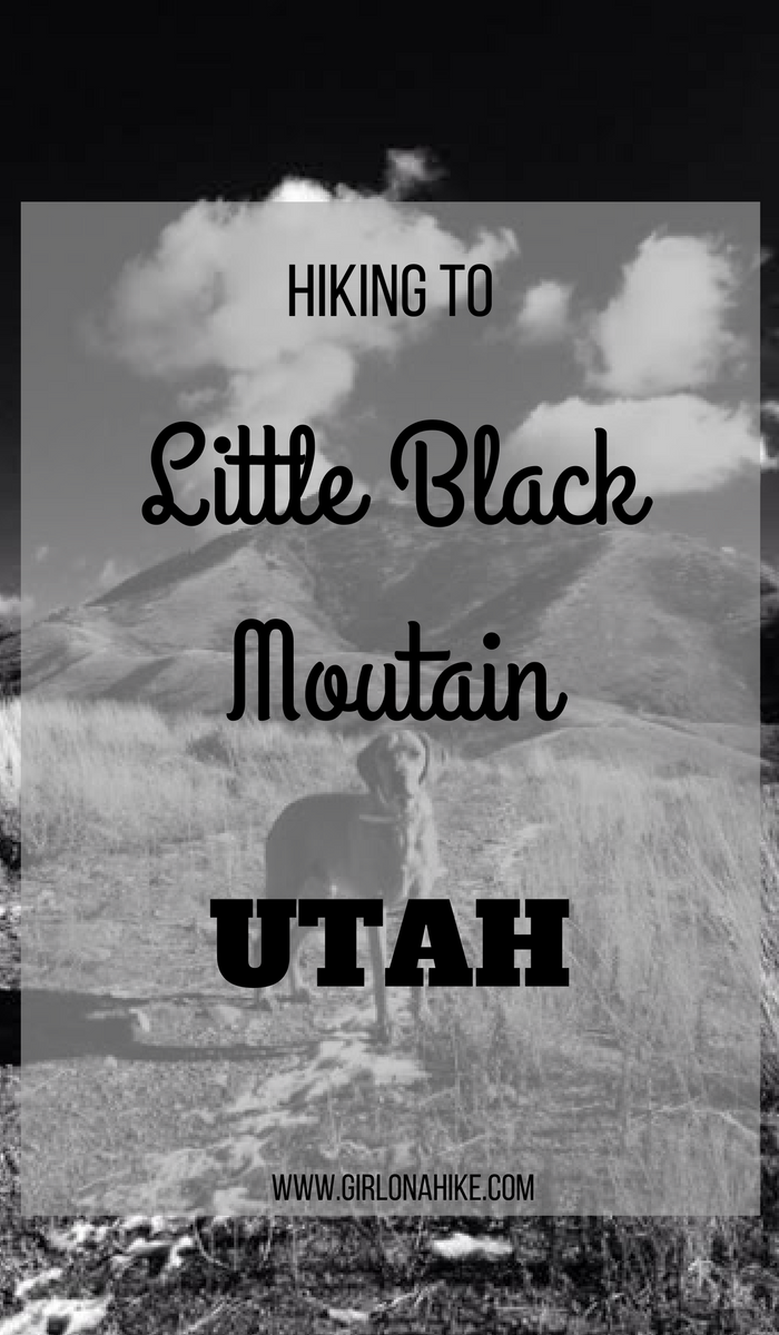 Hiking to Little Black Mountain, Utah, Hiking in Utah with Dogs