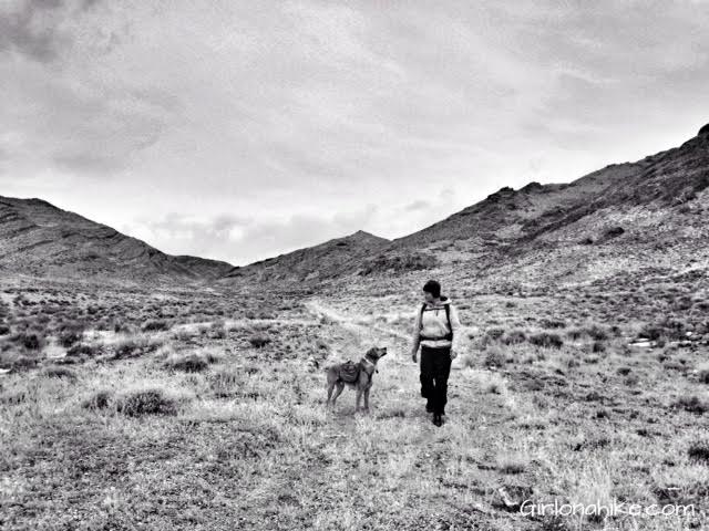 Tetzlaff Peak, Tetzlaff Peak hiking guide, Silver Island Mountains, Hiking in Utah with Dogs
