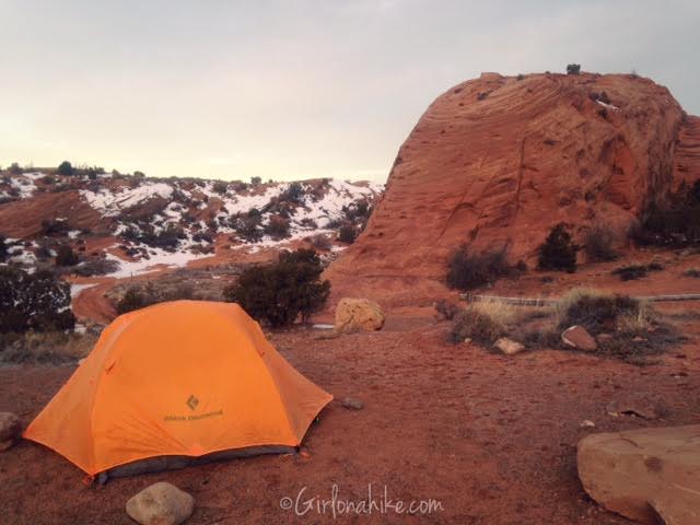 Sand Flats Recreation Area, Camping with dogs in Moab