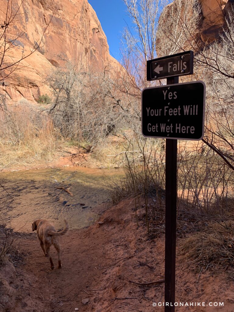Hiking the North Fork of Mill Creek, Moab