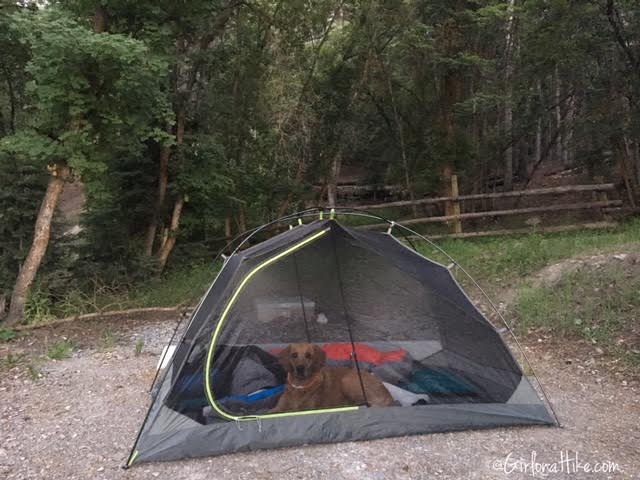Hiking Santaquin Peak, Maple Bench Campground