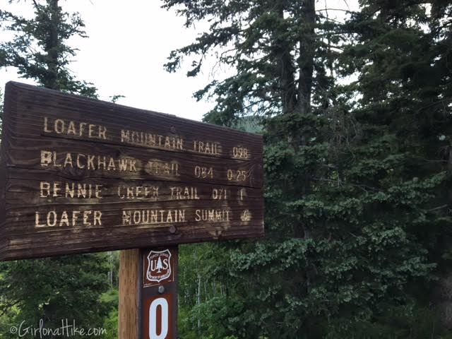 Hiking Santaquin Peak, Wasatch Peak Baggers