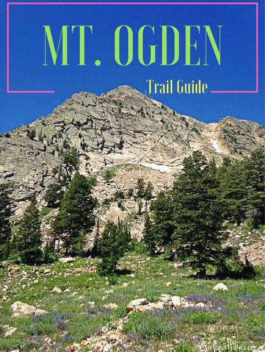 Hiking Mount Ogden, Snowbasin Ski Resort, Utah