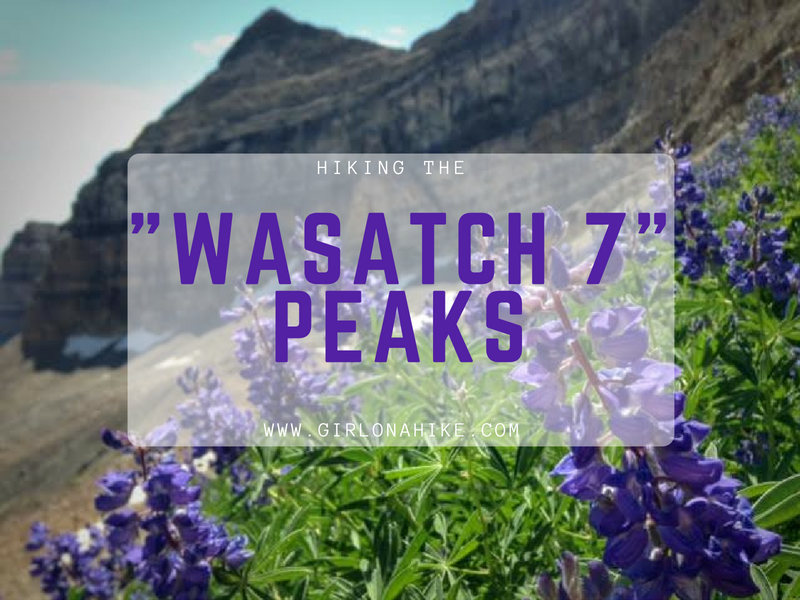 Hiking the "Wasatch 7" Peaks!