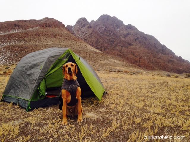 How to Camp for FREE In Utah!