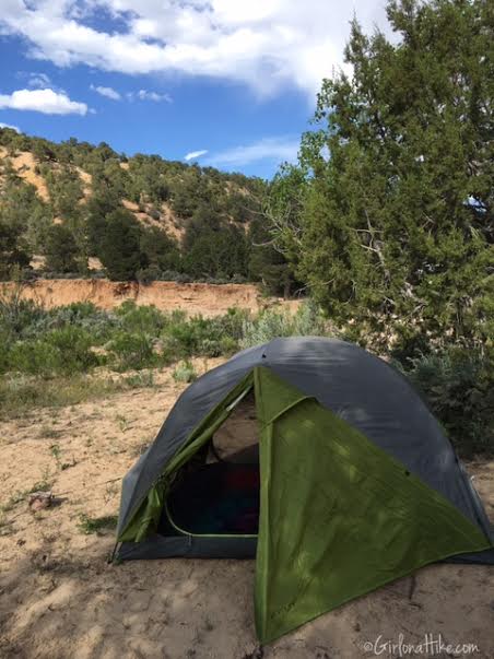 How to Camp for FREE In Utah!