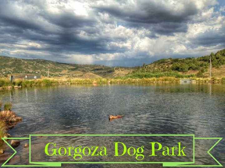 Gorgoza Dog Park, Kimball Junction, Utah, Hiking in Utah with Dogs
