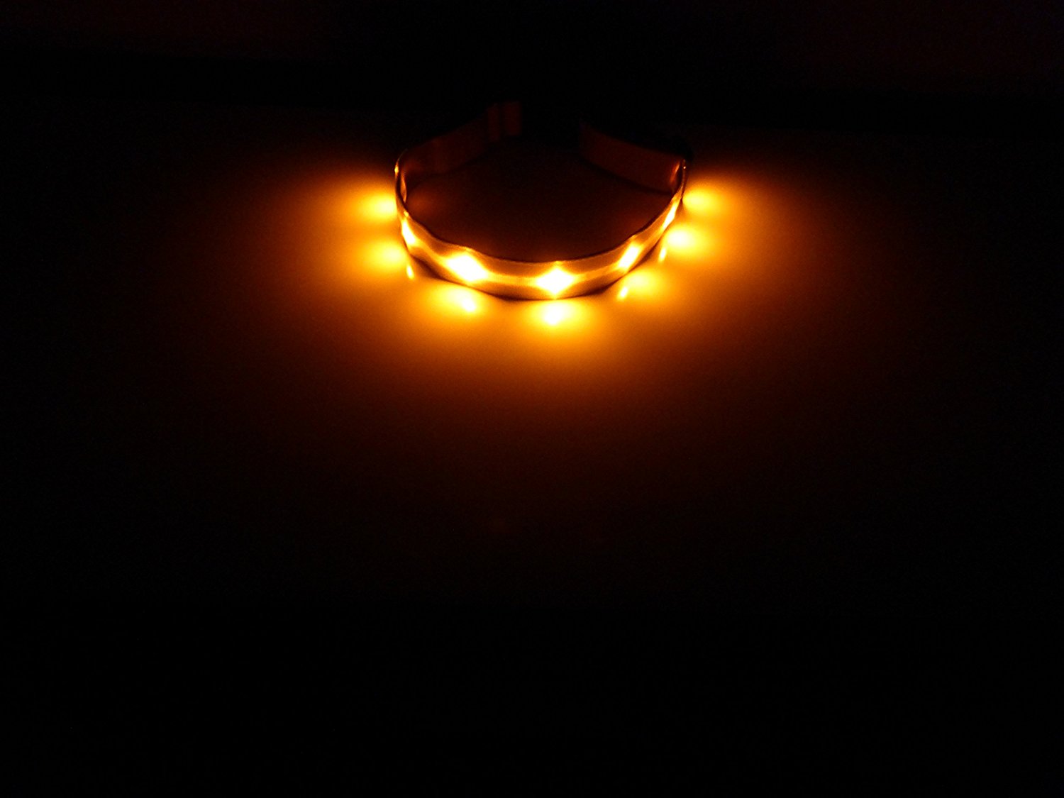 GoDoggie Glow Collar Light Gear Review, Hiking with Dogs in the Dark, Dog safety