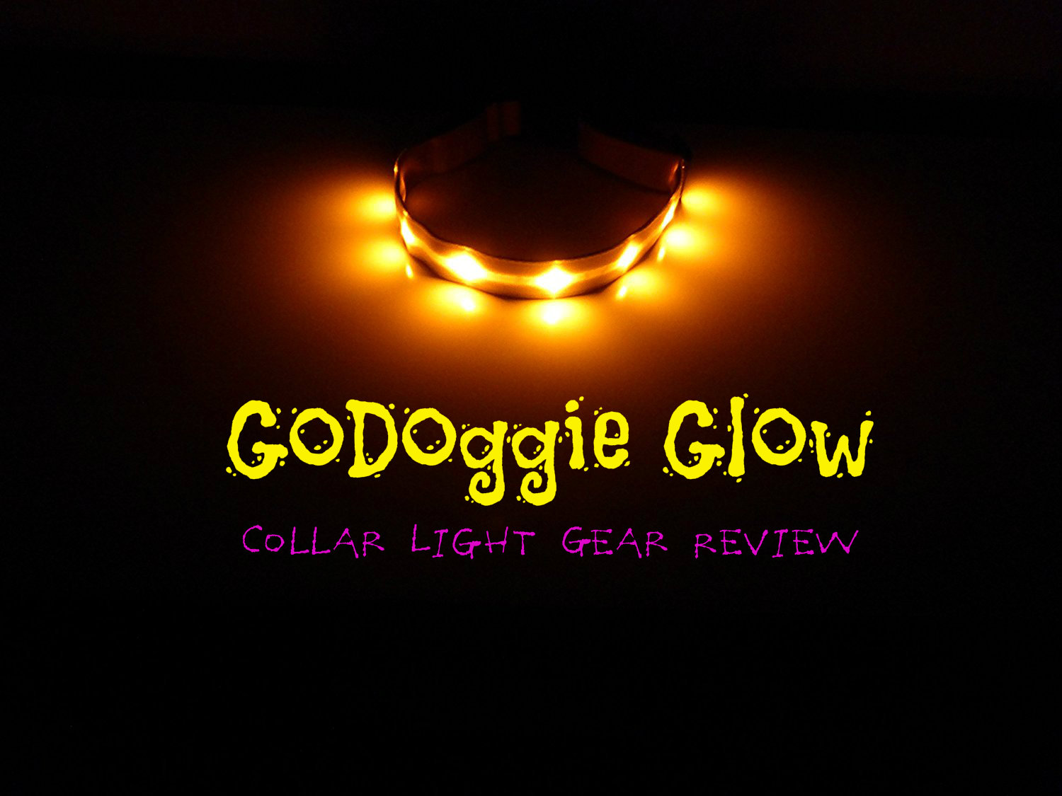 GoDoggie Glow Collar Light Gear Review, Hiking with Dogs in the Dark, Dog safety
