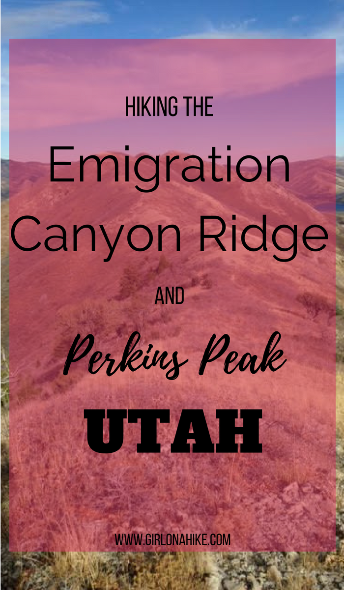 Hiking the Emigration Canyon Ridge, Emigration Canyon, Hiking Perkins Peak, Salt Lake City, UT, Hiking in Utah with Dogs