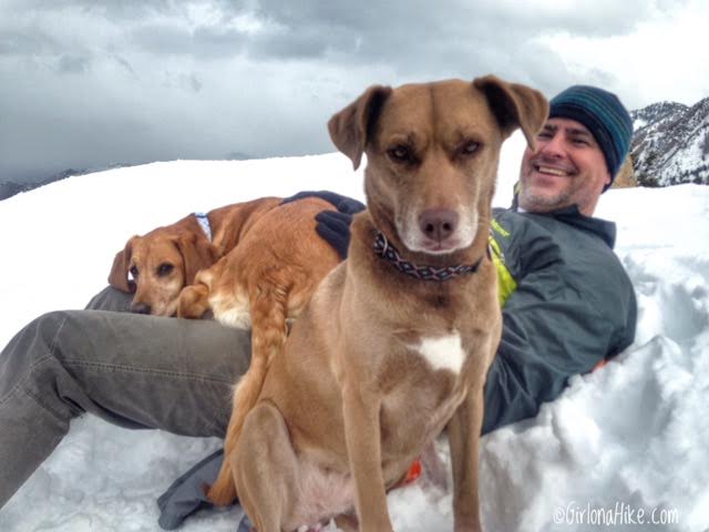 Hiking Mt. Olympus, Hiking in Utah with Dogs, Utah peak bagging