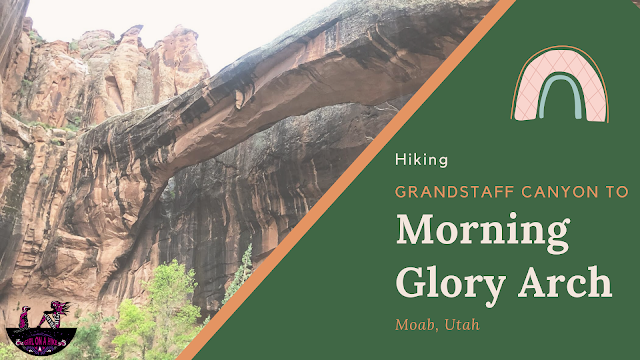 Grandstaff Canyon, Morning Glory Arch, Negro Bill Canyon, hiking in moab with dogs