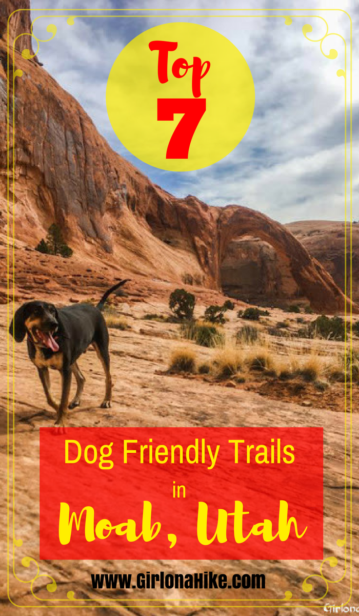 7 Best Dog Friendly Trails in Moab, Utah, Hiking in Moab with Dogs