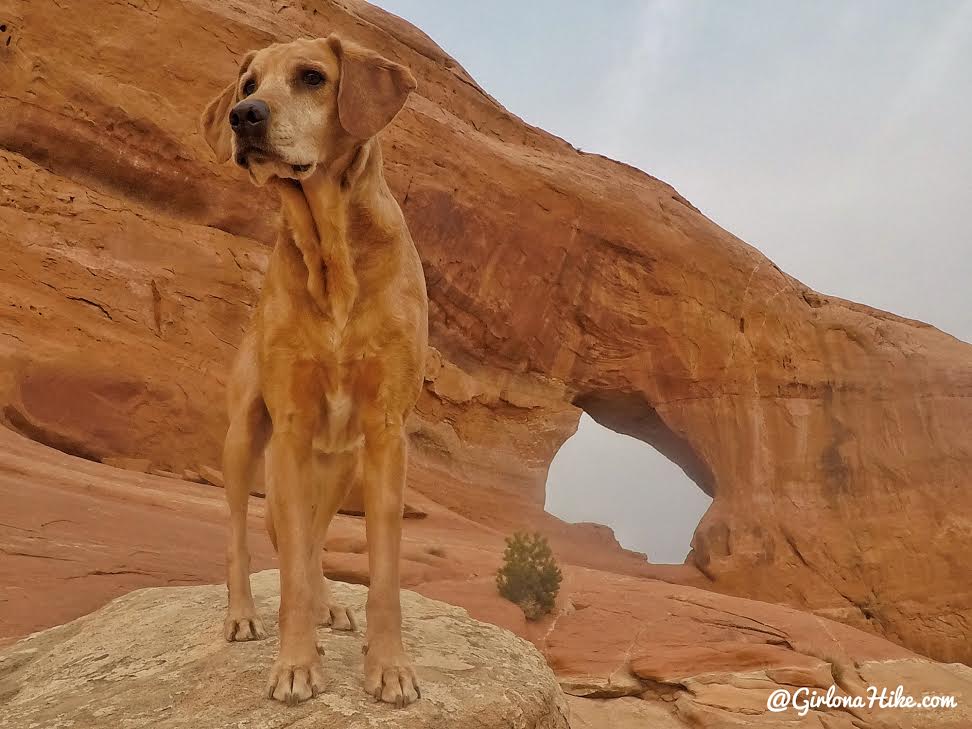 Looking Glass Arch, Moab, Arches in Utah, Hiking in Utah with Dogs