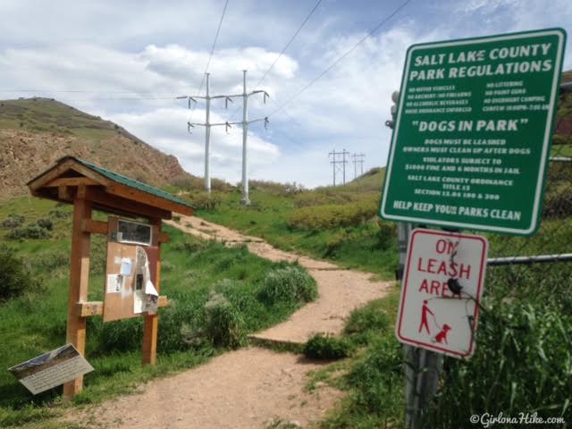 Hiking the West Ridge of Grandeur Peak, Hiking in Utah with Dogs