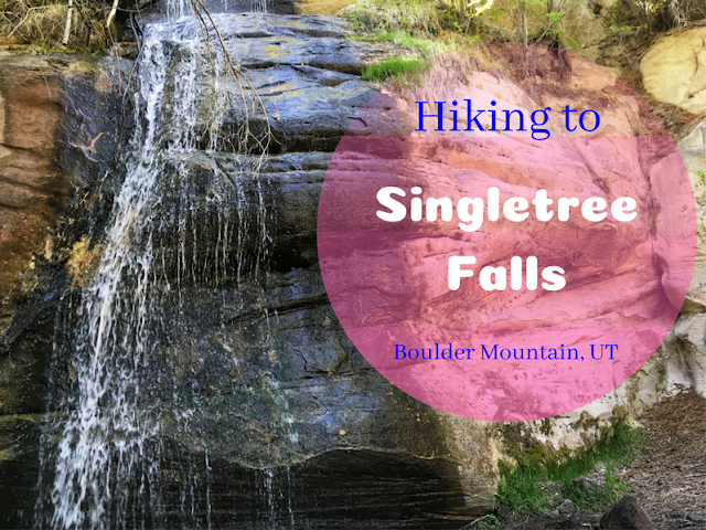Hiking to Singletree Falls, Boulder Mountain, Utah