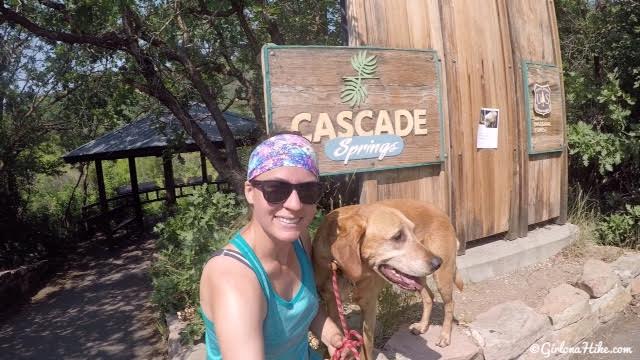 Visiting Cascade Springs, American Fork Canyon