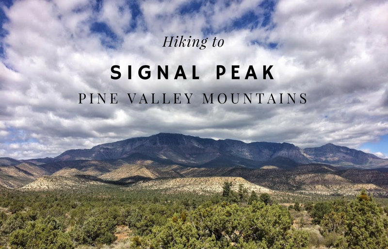 Hiking to Signal Peak, Pine Valley Mountains, Washington County High Point