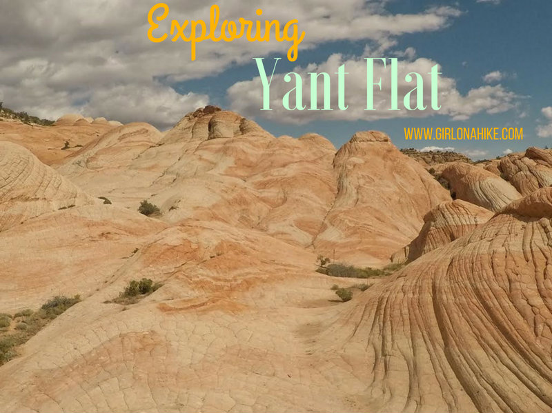 Exploring the Yant Flat Cliffs, St. George, Utah