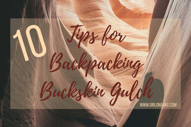 10 Tips for Backpacking Buckskin Gulch, Backpacking Buckskin Gulch with Dogs