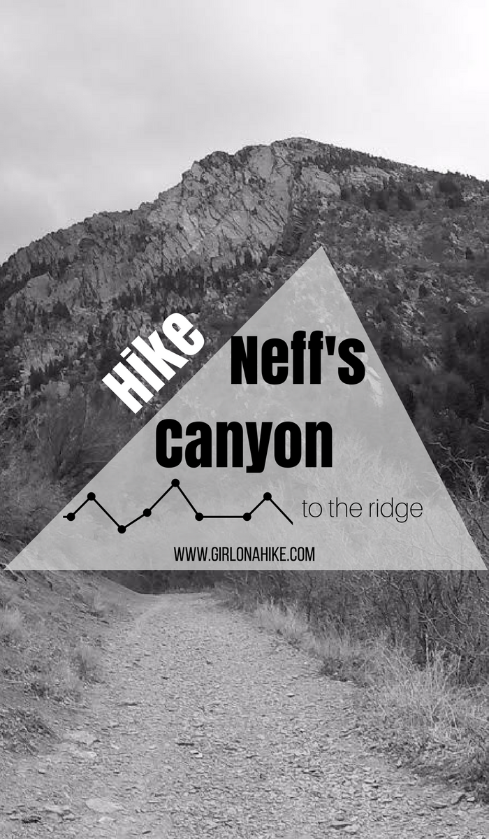 Hiking Neff's Canyon to the Ridge