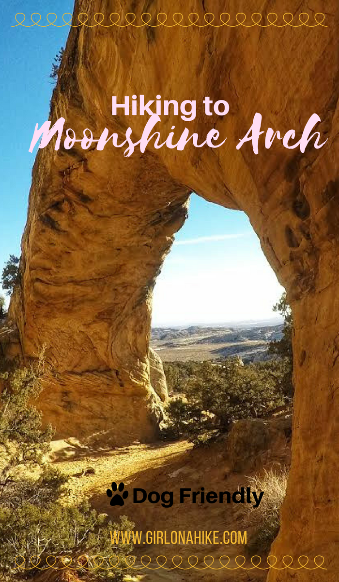 Hiking to Moonshine Arch, Vernal, Utah, Hiking in Utah with Dogs
