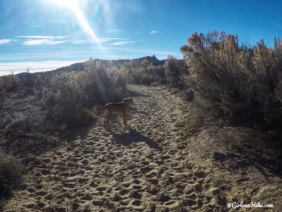 Hiking to Moonshine Arch, Vernal, Utah, Hiking in Utah with Dogs