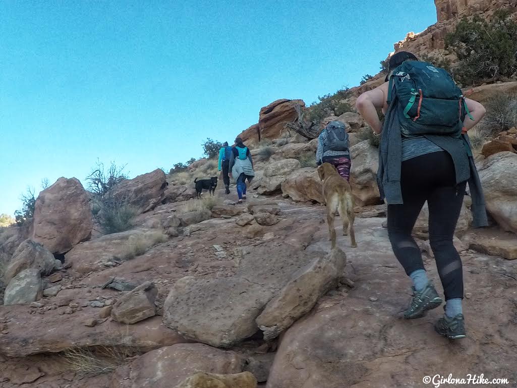 Hiking the Stair Master Trail, Moab, Hiking in Moab with Dogs