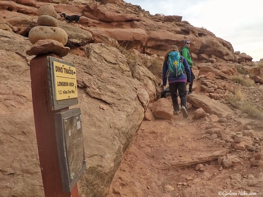 Hiking to Long Bow Arch, Moab, Utah, Hiking in Moab with Dogs, Hiking in Utah with Dogs