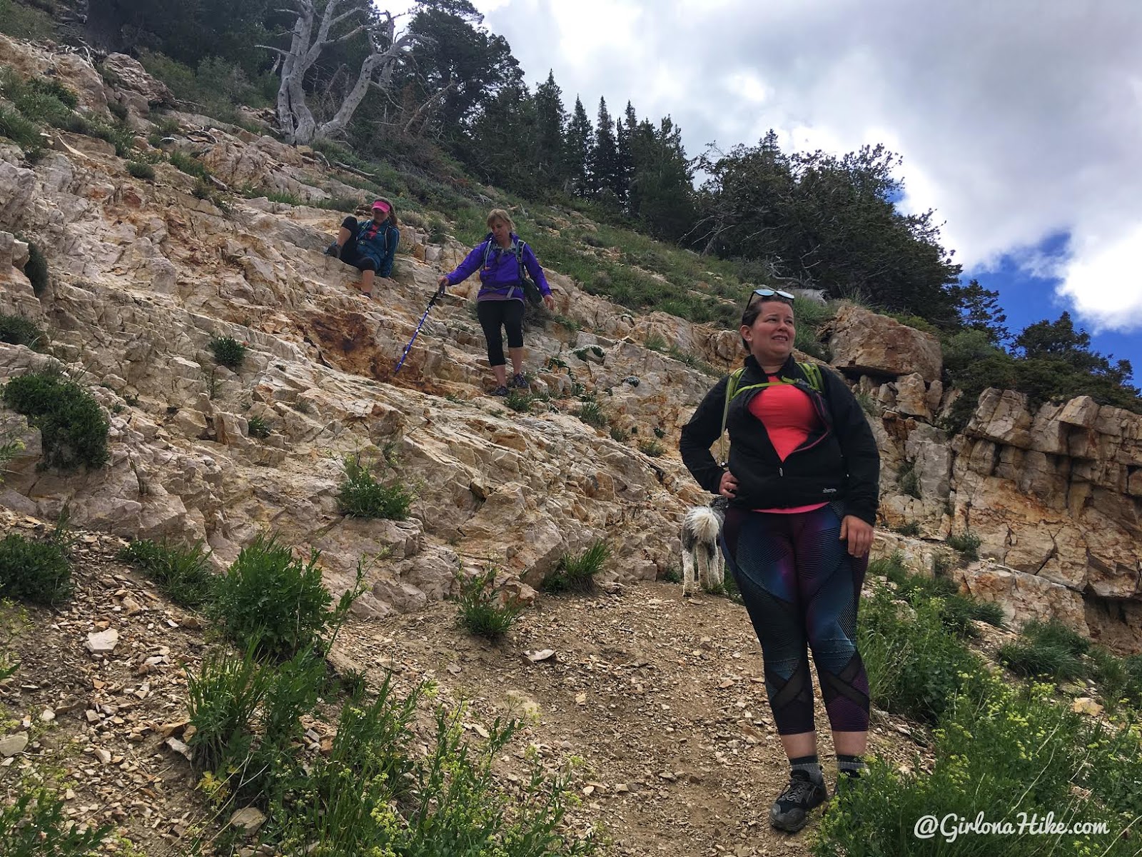Hiking to Deseret Peak, Utah's Ultra Prominence Peaks, Hiking in Utah with Dogs
