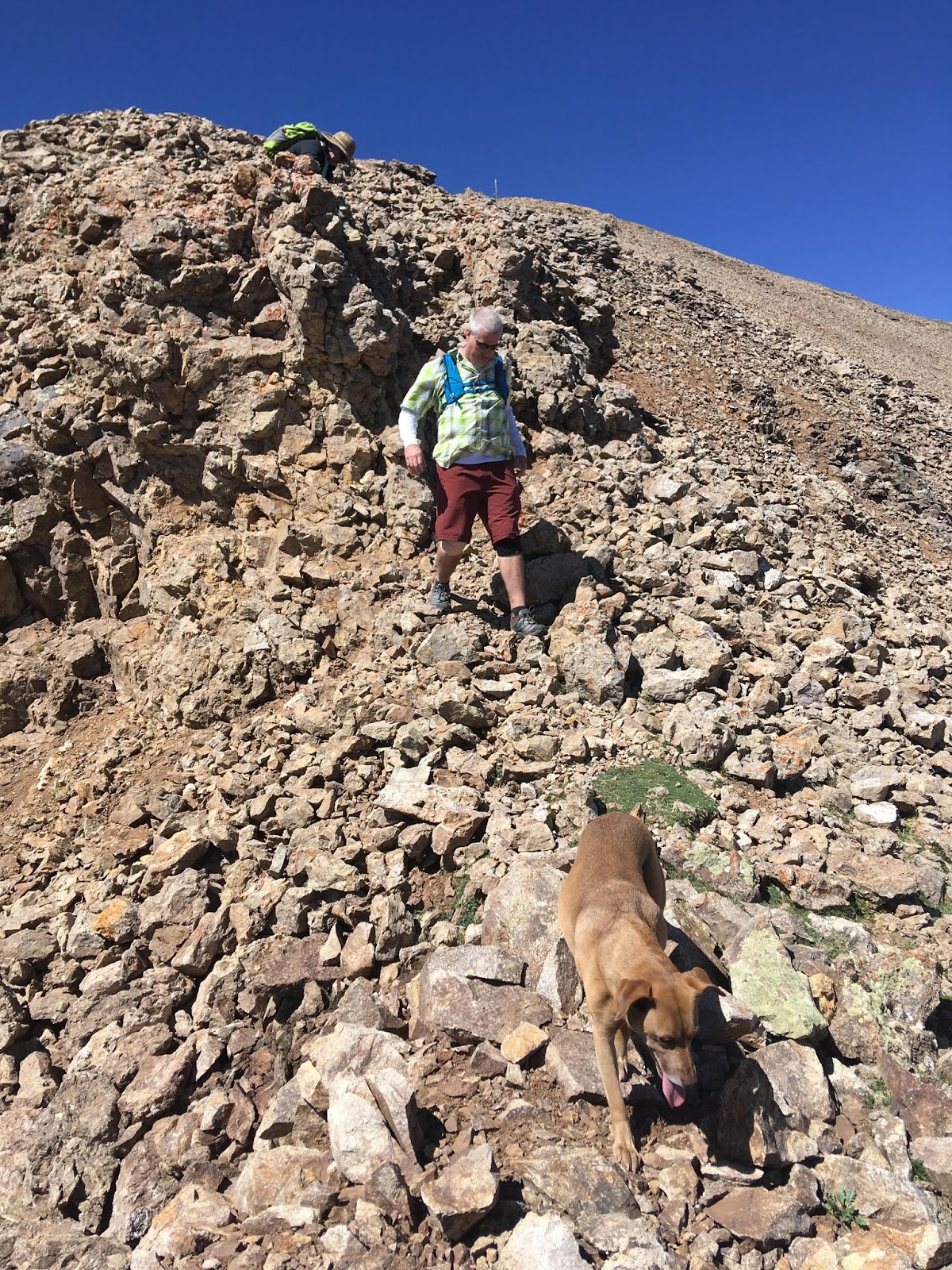 Hiking to Mt. Waas, LaSal Mountains, Grand County High Point, Hiking in Utah with Dogs