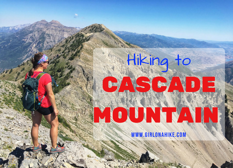 Hiking to Cascade Peak, Utah, Hiking the Wasatch 7 Peaks, Utah Peak Baggers, Wasatch Peak Baggers