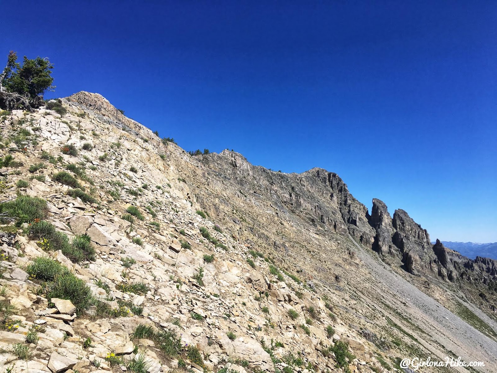 Hiking to Cascade Peak, Utah, Hiking the Wasatch 7 Peaks, Utah Peak Baggers, Wasatch Peak Baggers