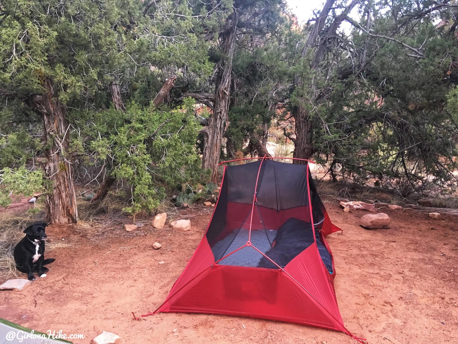 Backpacking Fish & Owl Canyons, Cedar Mesa & Bears Ears National Monument