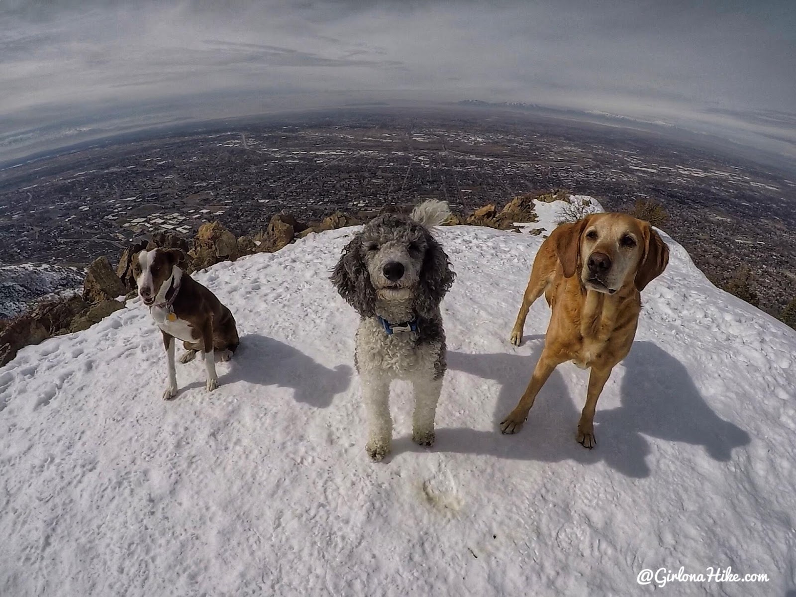 Hiking to Malan's Peak, Ogden, Utah, Hiking in Utah with Dogs