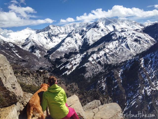 Hiking Squaw Peak, Provo, Rock Canyon Utah, Hiking in Utah with dogs