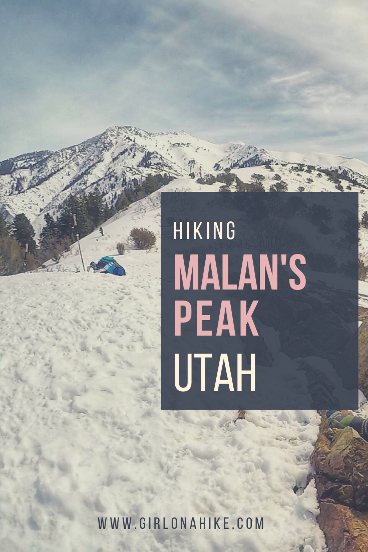 Hiking to Malan's Peak, Ogden, Utah, Hiking in Utah with Dogs