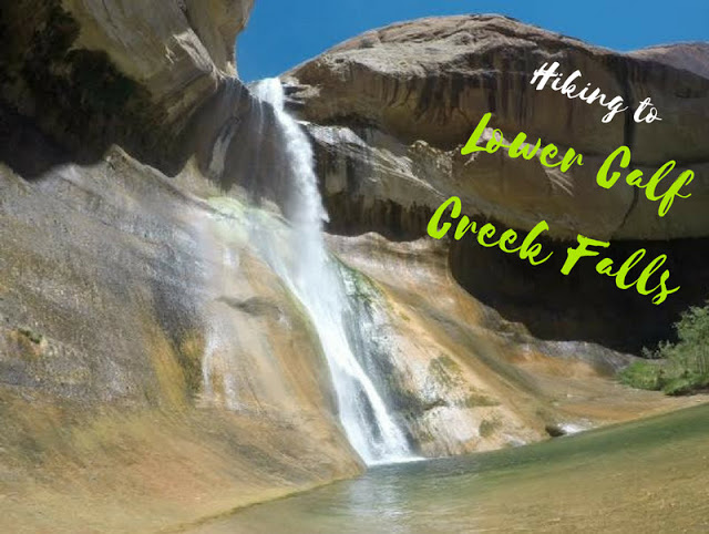 The Best Dog Friendly Waterfalls Hikes in Utah, Lower Calf Creek Falls Escalante