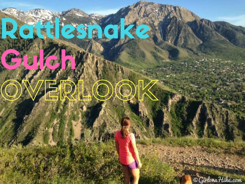 Hiking to Rattlesnake Gulch, Millcreek Canyon, Utah, Hiking with Dogs in Utah