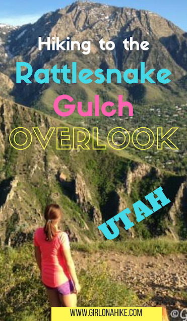 Hiking to Rattlesnake Gulch, Millcreek Canyon, Utah, Hiking with Dogs in Utah