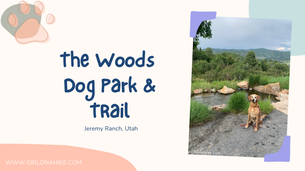 The Woods Trail & Dog Park