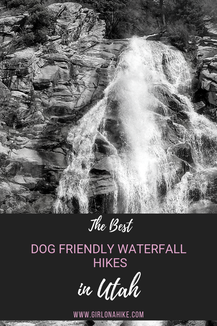 The Best Dog Friendly Waterfalls Hikes in Utah
