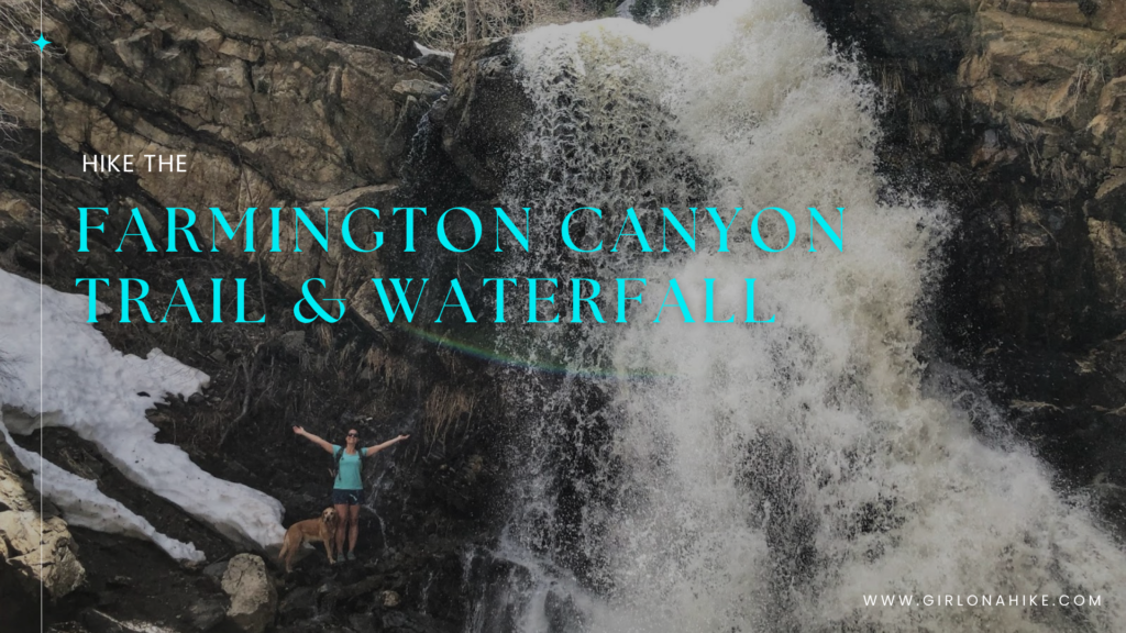 Farmington Canyon Trail & Waterfall