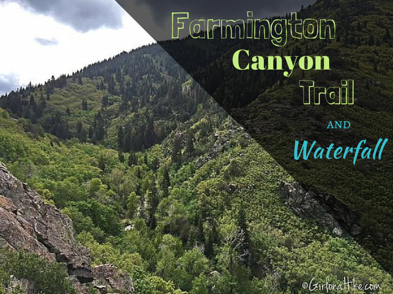 Farmington Canyon Trail, Farmington Canyon Waterfalls, Hiking in Utah with Dogs
