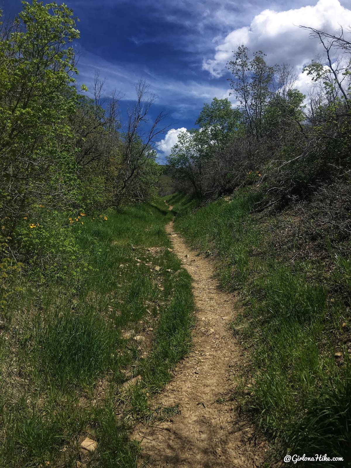 Hike the Bayliss Fork Trail, Emigration Canyon 