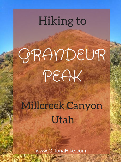 Hiking to Grandeur Peak, Millcreek Canyon, Utah, Hiking in Utah with Dogs