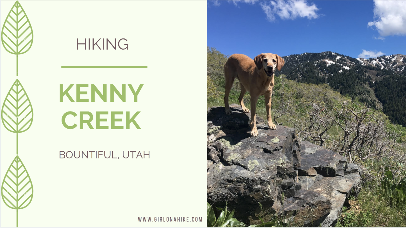 Hiking the Kenny Creek Trail