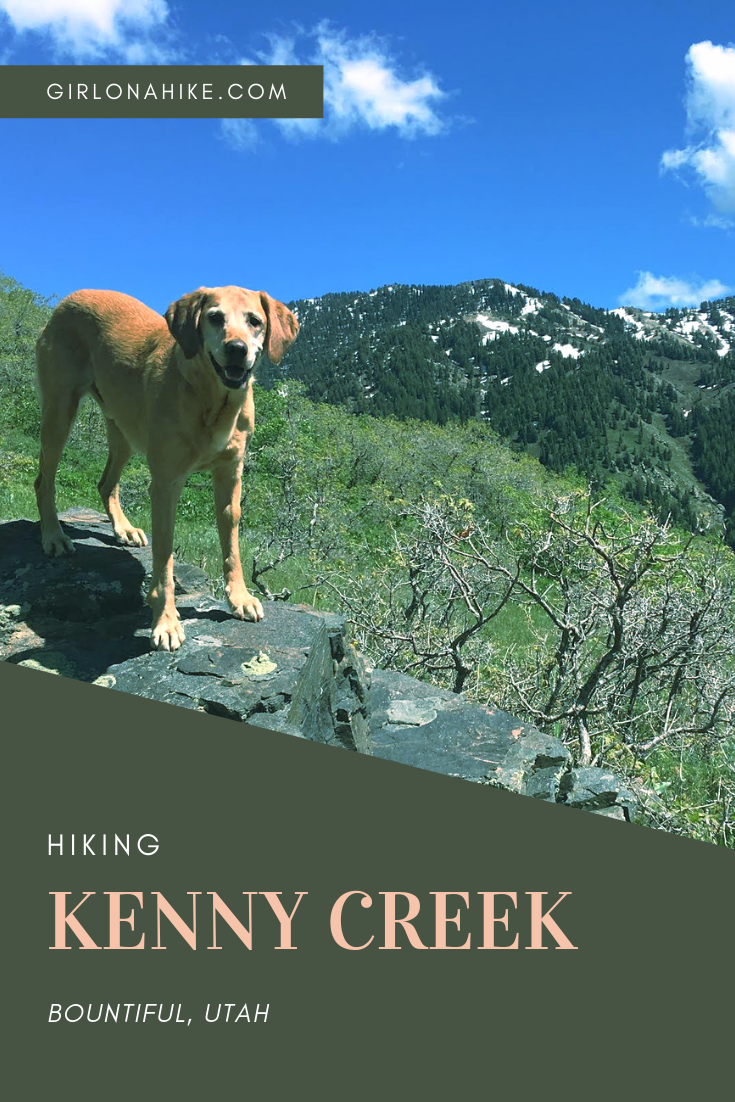Hiking the Kenny Creek Trail