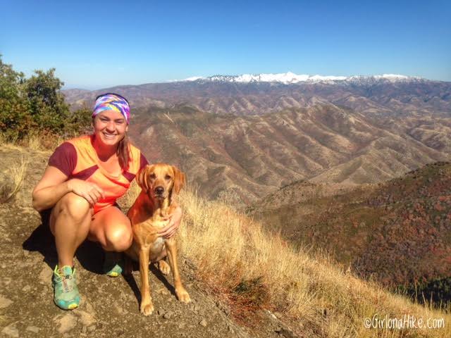 Hiking to Grandeur Peak, Millcreek Canyon, Utah, Hiking in Utah with Dogs