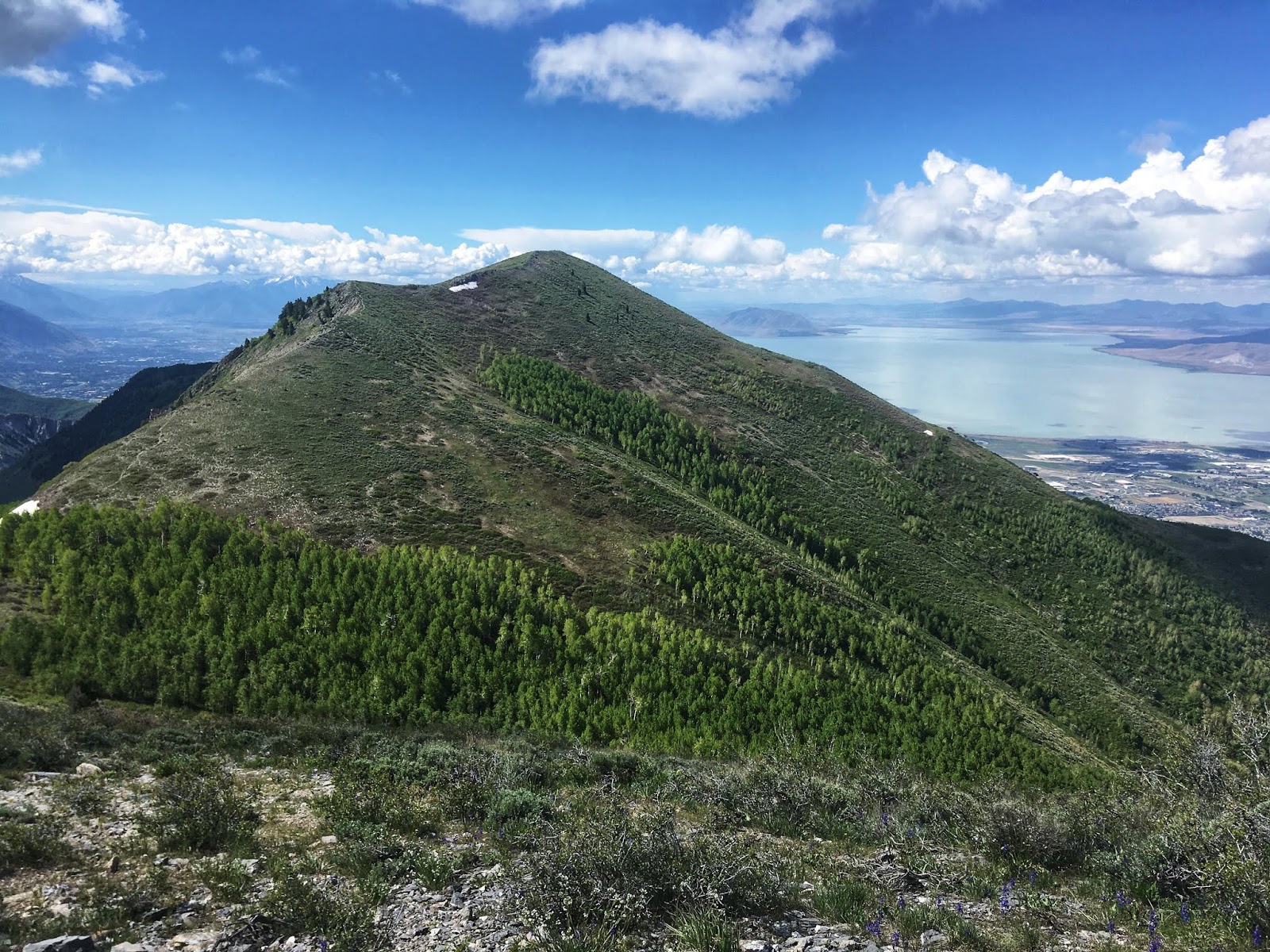 Hiking Mahogany Mountain, Utah county, utah peak baggers, hiking in utah with dogs, Utah's best peaks